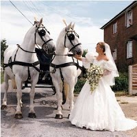Horse drawn Carriage Hire   Disley 280895 Image 2